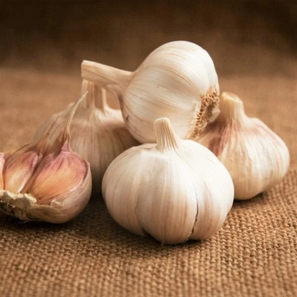 Garlic Bulbs For Planting, Seed Garlic Bulbs, 4 Bulbs - Polish Garlic