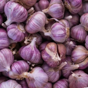 Garlic Bulbs For Planting, Seed Garlic Bulbs, 4 Bulbs - Purple Garlic