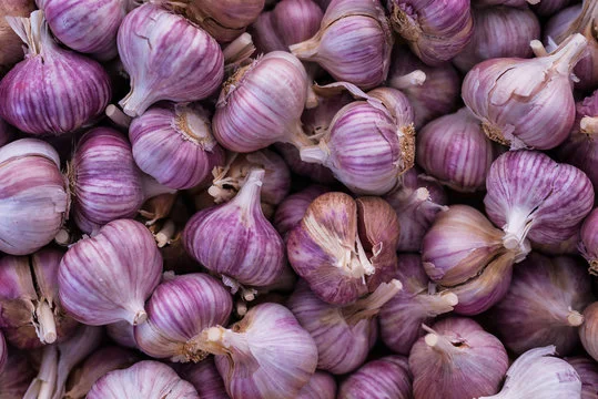 Garlic Bulbs For Planting, Seed Garlic Bulbs, 4 Bulbs - Purple Garlic