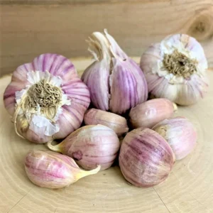 Garlic Bulbs For Planting, Seed Garlic Bulbs, 4 Bulbs - Chesnok Red Garlic