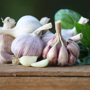 Garlic Bulbs For Planting, Seed Garlic Bulbs, 4 Bulbs - Purple Garlic