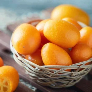 Grafted Live Kumquat Tree Live Plant, 2 Feet Tall, Gallon Pot, Can't Ship to CA, Meiwa Kumquat Plant