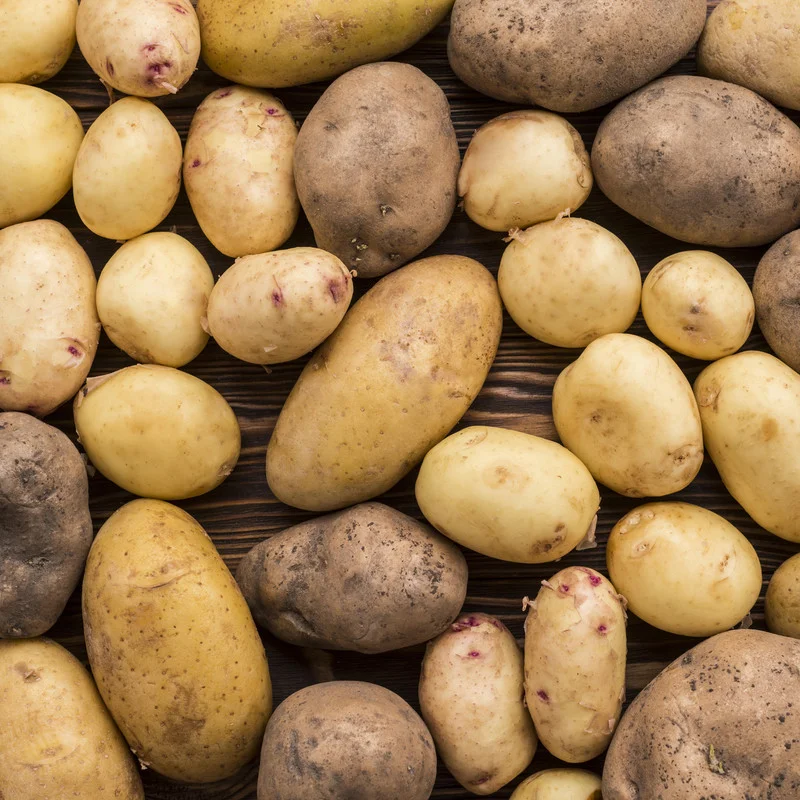 2 Pound Seed Potatoes, Potato Seeds For Planting, Seed Potatoes For Fall Spring Planting , Seed Potatoes For Planting, Potato Seeds, Russet Potatoes