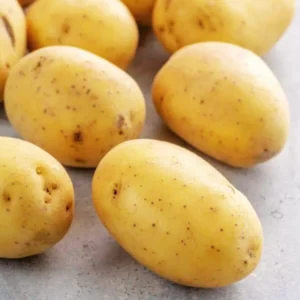 2 Pound Seed Potatoes, Potato Seeds For Planting, Seed Potatoes For Fall Spring Planting , Seed Potatoes For Planting, Potato Seeds, Yukon Potatoes