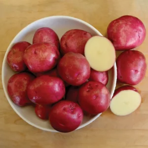 2 Pound Seed Potatoes, Potato Seeds For Planting, Seed Potatoes For Fall Spring Planting , Seed Potatoes For Planting, Potato Seeds, Red Potatoes