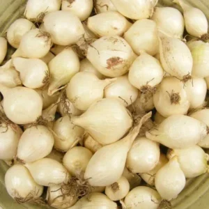 100 Onion Bulbs for Planting, Bulbing Onion Seeds, Onion Bulbs for Planting, Onion Sets, Bulk Onion Sets, White Onion Bulbs