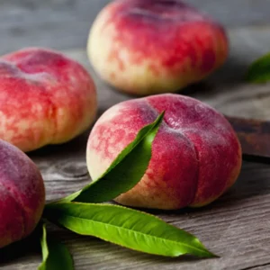 Donut Peach Tree Live Plant, 1-2 Feet Tall, Fruit-Bearing Peach Tree for Planting, Cold-Hardy, Full Sun, Zones 5-9