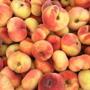 Donut Peach Tree Live Plant, 2-3 Feet Tall, Fruit-Bearing Peach Tree for Planting, Cold-Hardy, Full Sun, Zones 5-9