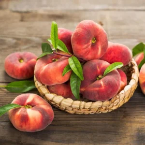 Donut Peach Tree Live Plant, 2-3 Feet Tall, Fruit-Bearing Peach Tree for Planting, Cold-Hardy, Full Sun, Zones 5-9