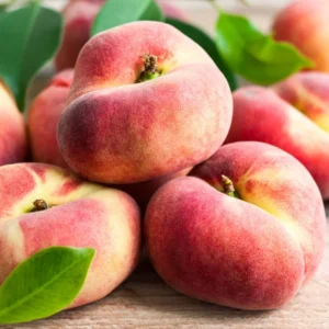 Donut Peach Tree Live Plant, 2-3 Feet Tall, Fruit-Bearing Peach Tree for Planting, Cold-Hardy, Full Sun, Zones 5-9