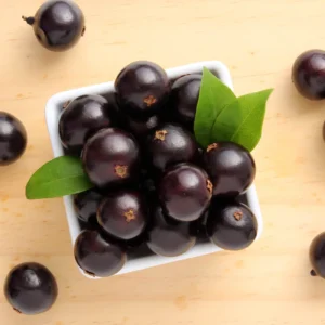 Live Jaboticaba Fruit Tree, Well-Rooted and Ready to Plant, Tropical Tree for Indoor/Outdoor Growing, Zones 9-11