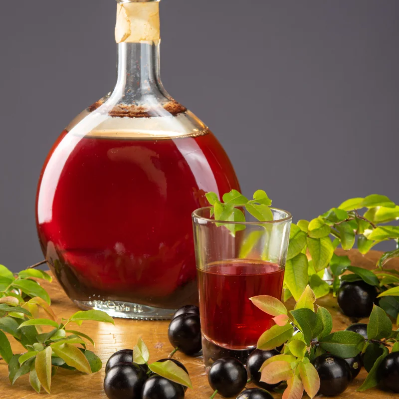 Black Jaboticaba Tree Live Plant, 1-2 Feet Tall, Brazilian Grape Tree for Plantin, Live Jaboticaba Tree , Zones 9-11