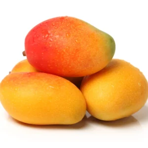 Butter Cream Mango Tree Grafted, 1.5-3 Feet, Live Mango Plant in Gallon Pot, Mango Tropical Tree