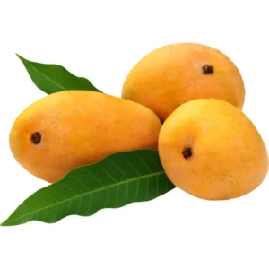 Yellow Grafted Mango Tree Live Plant, 1.5-3 Ft Tall, Gallon Pot Included, Garden Planting