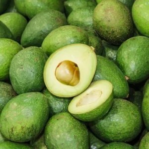 Hass Grafted Avocado Tree Live Plant, 1.5-3 Ft Tall, Avocado Tree for Outdoor Planting