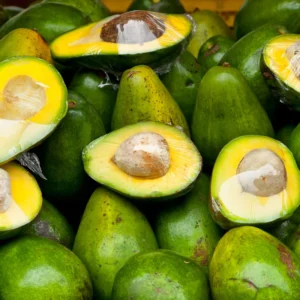 Hass Grafted Avocado Tree Live Plant, 1.5-3 Ft Tall, Avocado Tree for Outdoor Planting