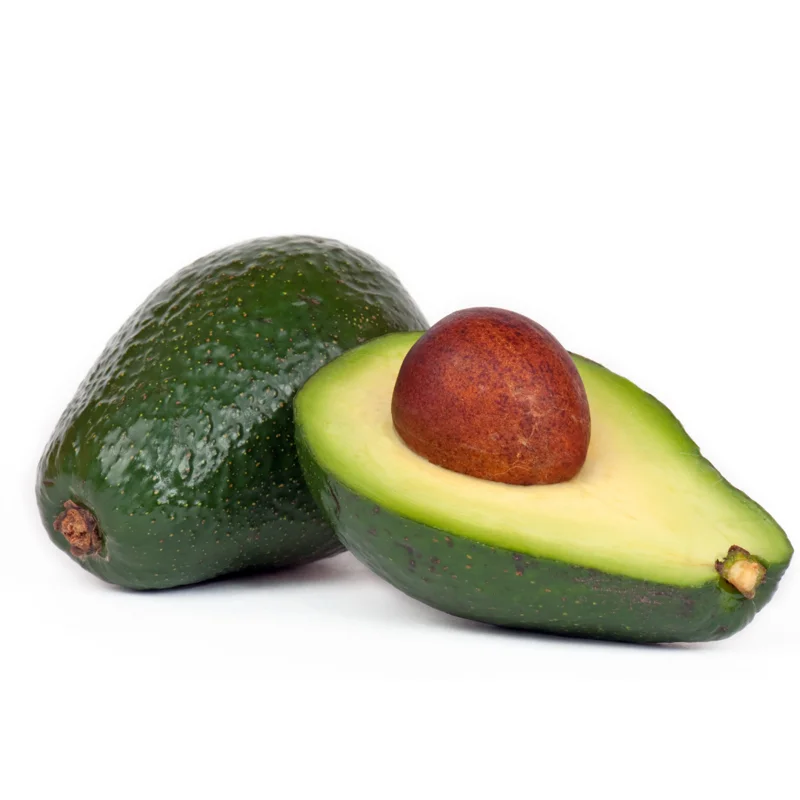 Grafted Avocado Plant, 1.5-3 Ft Tall, Live Tree in Pot, Avocado Tree for Growing