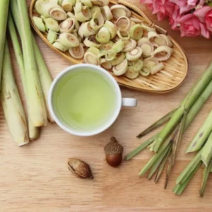 Clump 10 Lemongrass Live Plants, 1 Ft Tall in 1 Gallon Pot, Fresh Lemon Grass Herb for Indoor and Outdoor Gardens Planting