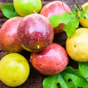 Purple Passionfruit Plant Live, Passion Fruit Plant, Passion Fruit Tree, 10-15 Inches Tall, Fast Growing and Ready to Plant