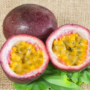3 Passionfruit Plant Live, Purple Passion Fruit Plant, Passion Fruit Tree, 10-15 Inches Tall, Fast Growing and Ready to Plant