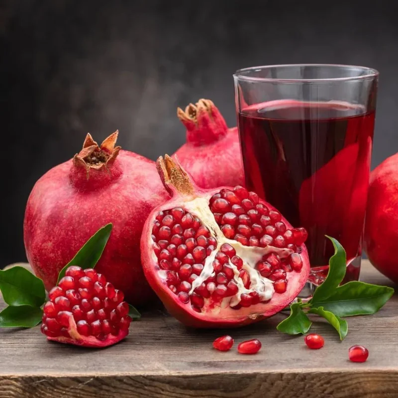 Live Pomegranate Tree Plant, Fruit-Bearing Pomegranate, 6-8 Inches Tall, Wonderful Pomegranate Tree, Pomegranate Plant Tree