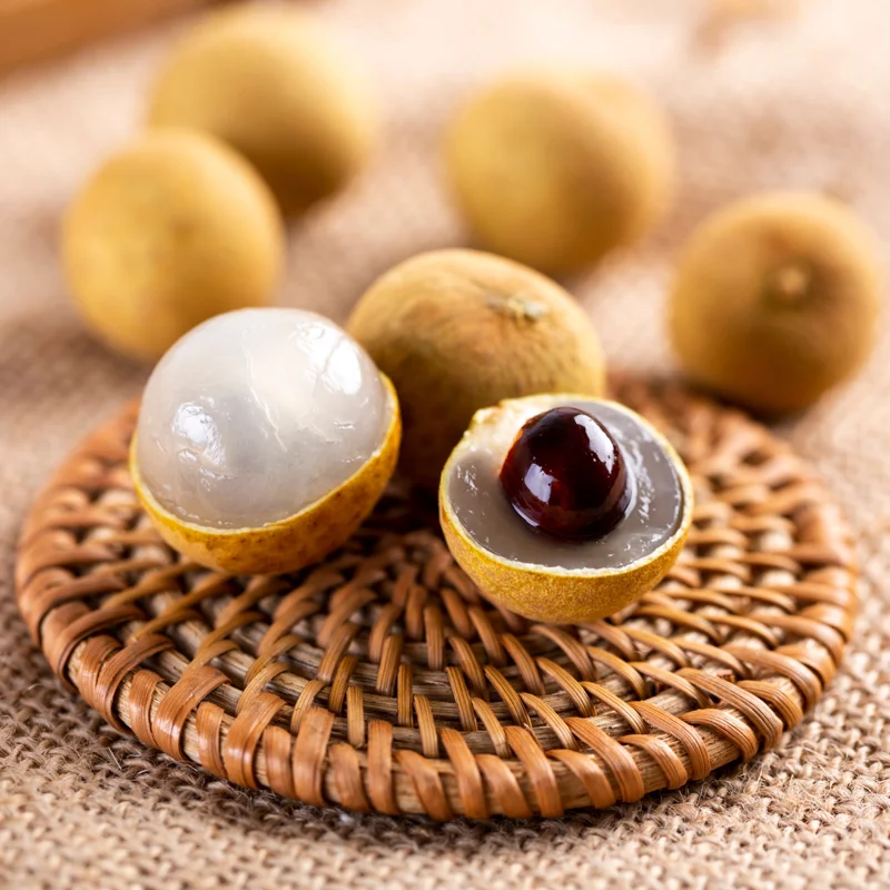 Longan Tree Live Plant - 1 To 2 Feet Tall - Sweet Longan Tree - In 1 Galon Pot