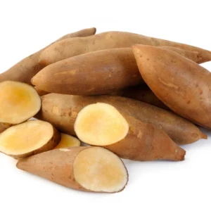 Set 4 Yacon Plants Live, Ground Apple Yacon Live Plants, 4-8 Inc Tall, Yacon Vegetable Home Garden