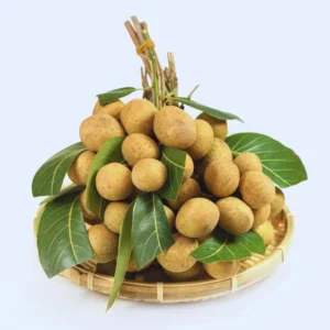 Longan Seeds For Planting Indoor, Sweet Fruit Longan Seeds, 60 Seeds