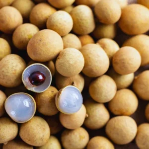 Longan Seeds For Planting Indoor, Sweet Fruit Longan Seeds, 60 Seeds