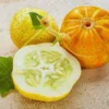 Lemon Cucumber Seeds, 50 Cucumber Plant Seeds, Cucumber Seeds For Planting Outdoors Indoors, Vegetable Seeds