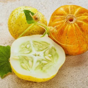 Lemon Cucumber Seeds, 50 Cucumber Plant Seeds, Cucumber Seeds For Planting Outdoors Indoors, Vegetable Seeds
