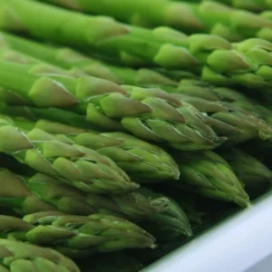 200 Asparagus Seeds For Planting, Vegetable Seeds, Asparagus Vegetable Seeds