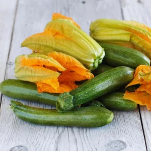Green Squash Seeds, Grey Zucchini Seeds, Squash Vegetable Seeds For Planting, 100 Seeds