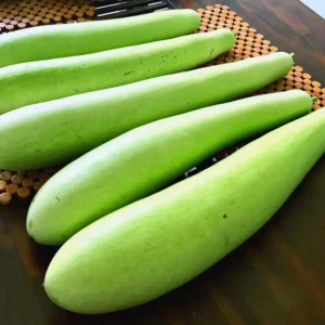 30 Gourd Seeds, Gourd Vegetable Seeds For Planting Indoor Outdoor, 30 Seeds