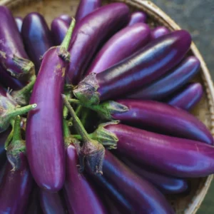 100 Eggplants Seeds, Long Purple Eggplants Seeds For Planting Outdoor, Eggplants Vegetable Seeds