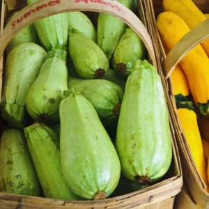 White Squash Seeds, White Zucchini Seeds, Squash Vegetable Seeds For Planting, 75 Seeds