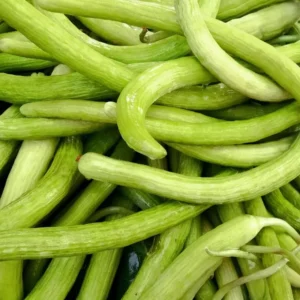 Long Cucumber Seeds, 40 Cucumber Plant Seeds, Cucumber Seeds For Planting Outdoors Indoors, Vegetable Seeds