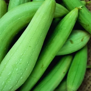 Luffa Gourd Seeds, Luffa Gourd Vegetable Seeds For Planting Outdoor Indoor, Gourd Seeds, 100 Seeds