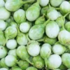 100 Eggplants Seeds, White Green Eggplants Seeds For Planting Outdoor, Eggplants Vegetable Seeds