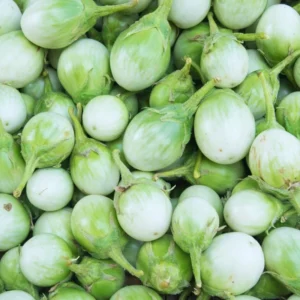 100 Eggplants Seeds, White Green Eggplants Seeds For Planting Outdoor, Eggplants Vegetable Seeds