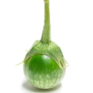 Eggplants Seeds, 200 Green White Eggplants Seeds For Planting Outdoor, Eggplants Vegetable Seeds