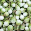 Eggplants Seeds, 200 Green White Eggplants Seeds For Planting Outdoor, Eggplants Vegetable Seeds