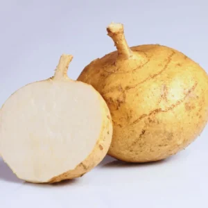 20 Jicama Seeds For Planting Outdoor, Jicama Vegetable Seeds, 20 Seeds