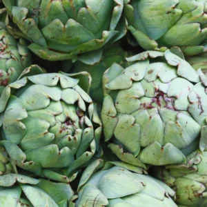 50 Artichoke Seeds For Planting Indoor Outdoor, Artichoke Vegetable Seeds