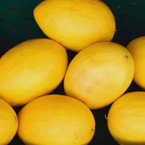 Golden Melon Seeds, 150 Vegetable Seeds, Golden Melon Seeds For Planting Indoor Outdoor