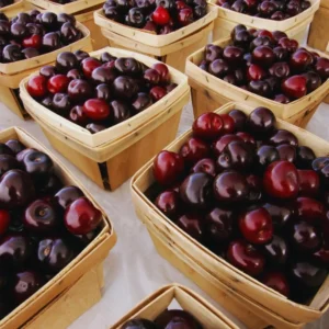 15 Black Cherry Seeds, Sweet Fruit Seeds For Planting Indoor Outdoor