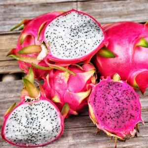 White Dragon Fruit Plant Live, 3 Gallon Potted, Pitaya Plant, Live Dragon Fruit Plant, Dragon Fruit Tree Plant, 2 to 3 Feet Tall, Dragon Fruit Live Plant, Sweet Fruit Plant