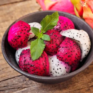 Purple Dragon Fruit Plant Live, 4 to 6 Inches Tall, Live Dragon Fruit Plant, Sweet Fruit Plant, Dragon Fruit Live Plant Indoor