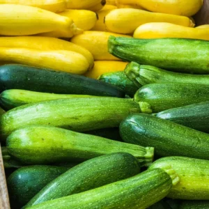 25 Grey Zucchini Summer Squash Seeds, Mexican Grey Squash Seeds for Planting Outdoor Indoor