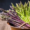10 Asparagus Bare Roots Plant, Mix Asparagus Roots, Green And Purple Asparagus Bulbs For Growing, Large Asparagus Crowns